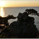 하조대해변 이미지