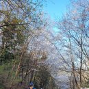 보성강1 이미지