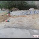 복터부동산중개사무소 이미지