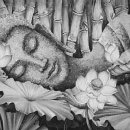 빠바라기 이미지