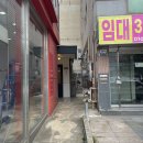 묘발소 | [구미고양이미용] 무마취 미용전문 송정동 묘발소🤎