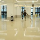 도그베이 미사점 이미지