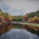 강원대학교 일반대학원 이미지