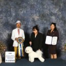 올웨이즈 반려견 미용실 이미지