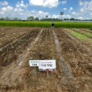 길용농장 이미지