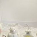 달콤공방 이미지