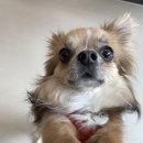 똑독트레이닝스쿨 이미지