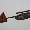 노틀담유치원 이미지