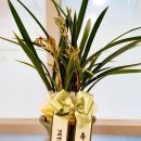 루나치과보존과치과의원 이미지