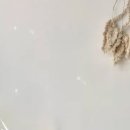 (특강)라탄공예 네이버블로그