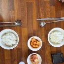 속초고속버스터미널 | [강원 조양동] 속초고속버스터미널 맛집 돼지국밥 맛집, 남매국밥 속초조양점