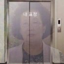 해리넷 | [쌉P의 플레너없이 결혼하기]일산 블랑해리 촬영드레스 피팅