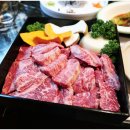 나무향기 이미지