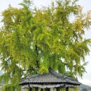 신당마을회관 이미지