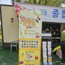가평 봄꽃축제 자라섬 꽃 페스타 남도 꽃 정원/바로마켓