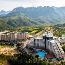 대명리조트 전국 지점(브랜드) 현황 이미지