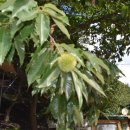 기성농장 이미지