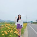 2026.05.23~25 전남 신안 여행 후기⑧- '팔금도 노랑지붕마을','분계해수욕장'
