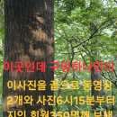 매니아카페