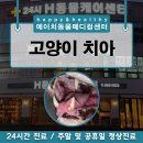 온천천동물병원 이미지