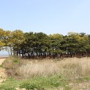 솔베이커리카페