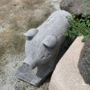 새 조형물 및 분수 이미지