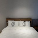 스테이포브 이미지