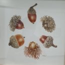 도봉-쌍문-도봉-1678 | 여주, 황학산수목원, 명성황후 생가에 가다.