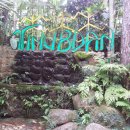 에덴파크 이미지