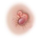 김묵환학문외과 네이버블로그