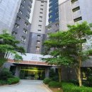 양덕동206 이미지