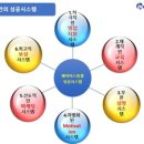 오산화성대리점
