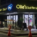 올리스 펫 호텔 이미지