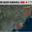 표선리-19 이미지