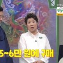 인사동골동품 이미지