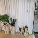 마리아미용실 이미지