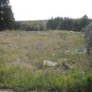 상효동-1 이미지