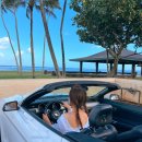 국도카 | 하와이 여행 허츠 렌트카 예약 후기 83번 국도 드라이브 코스 추천