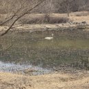 가는골농장 이미지