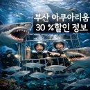 수리골공영주차장 B2층 | 부산 아쿠아리움 주차 해운대 씨라이프 예매 할인 공연 후기