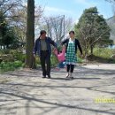 호동목장 이미지