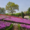 고강선사유적공원 이미지