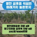 금호읍-석섬리-4