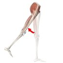 몸짱만들기GYM 이미지