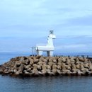 제주몽돌 이미지