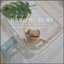 헌드레드게코