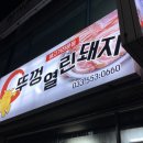 뚜껑열린돼지 이미지