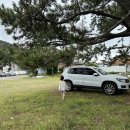 거제비타민씨 이미지