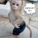 씨유대전석봉일등점 | [5월 일상] 말 많은 여자를 조심해