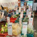 알뜰청과 | [내돈내산💵 솔직후기] 양재역 장보기 추천! 아람청과 – 신혼부부가 함께 다녀온 싸고 신선한 현금 전용...